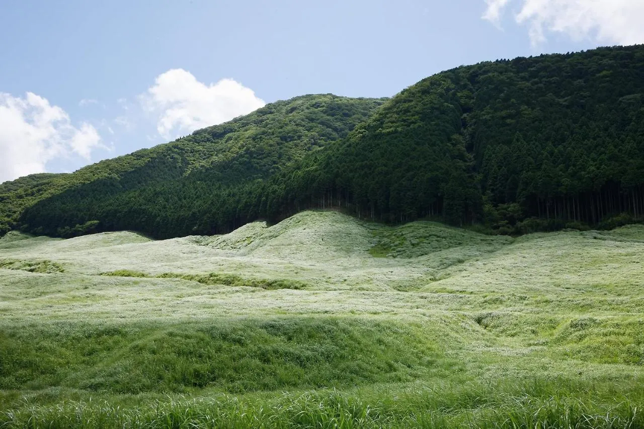 Hotel Susukinohara Ichinoyu Hakone Japón